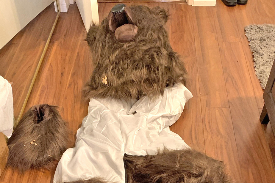 découvrez cette arnaque insolite où des malfaiteurs déguisés en ours s'attaquent aux voitures de luxe pour semer le chaos et détruire des biens précieux.