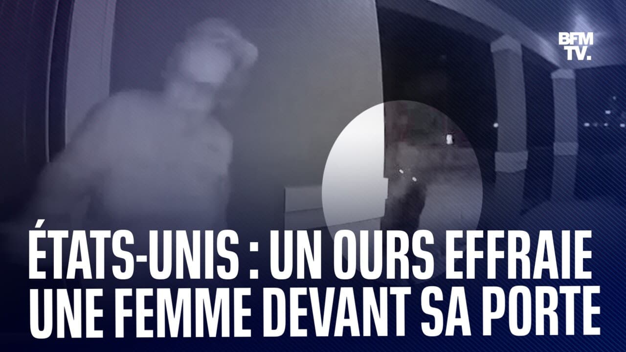 découvrez comment des fraudeurs se déguisent en ours aux états-unis pour tromper leurs victimes et éviter la détection.